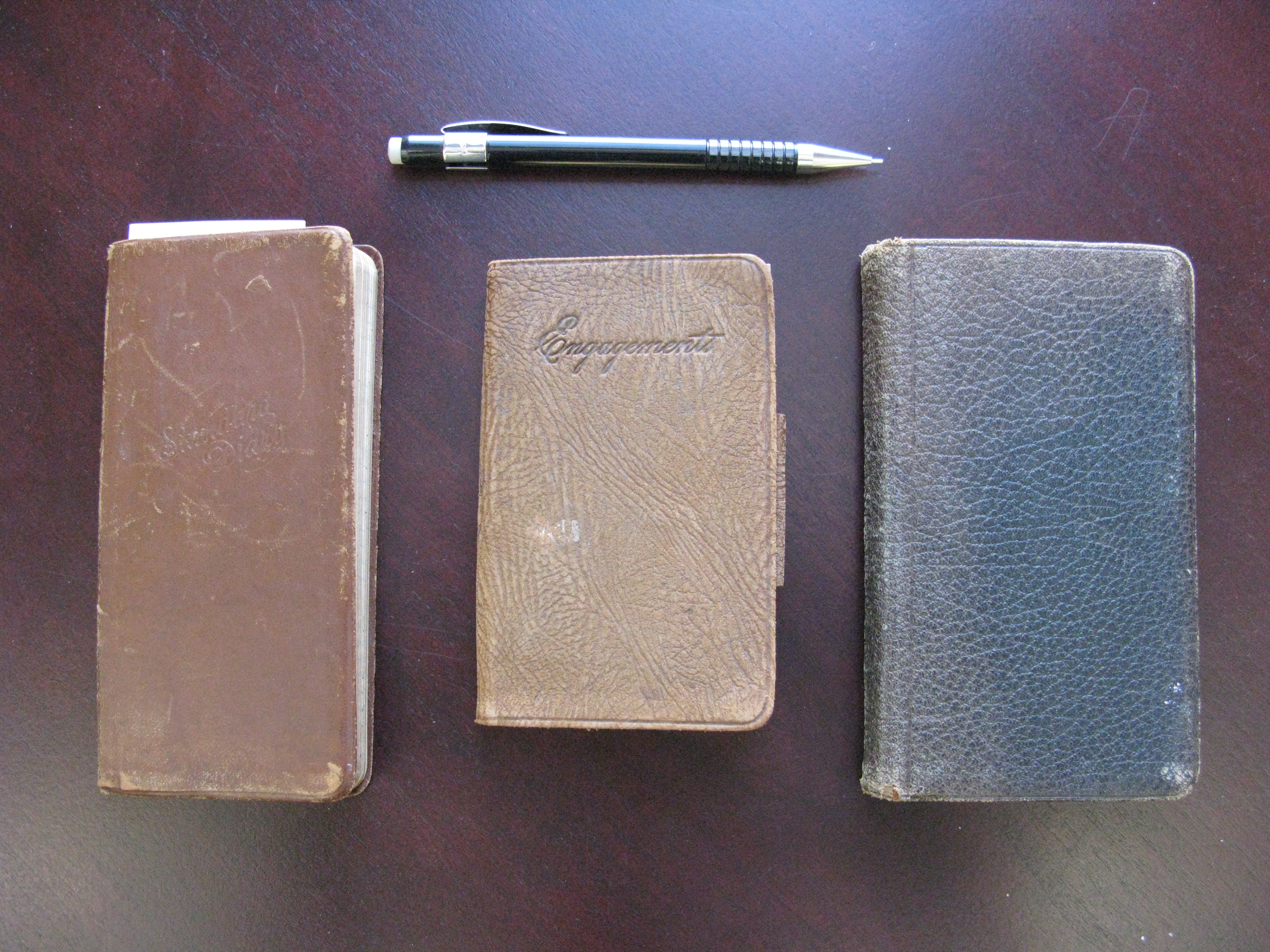 Chapin's three pocket-sized diaries